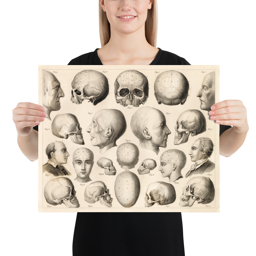Vintage Human Anatomy Print - Psychology Relations to the Brain ...