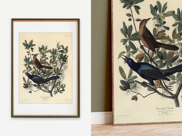 A framed vintage-style bird illustration print shown in two views: one as a wall-mounted framed print on a white wall, and one as a larger leaning print in an interior room with wood flooring and a green wall. The artwork depicts two birds perched among leafy branches on an aged cream background.