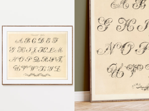 Antique Ornamental Alphabet Print