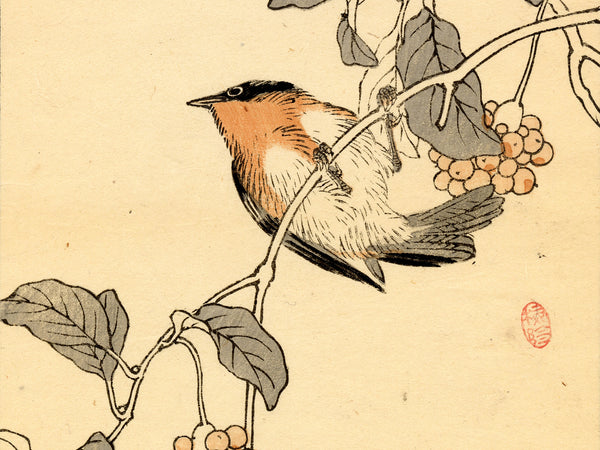 Kono Bairei 1888 Woodblock Print - Small Bird on Branch
