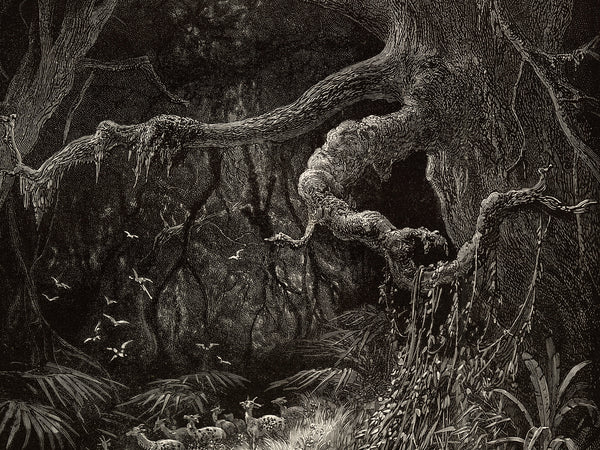 The Forests on the Banks of the Mississippi by Gustave Dore