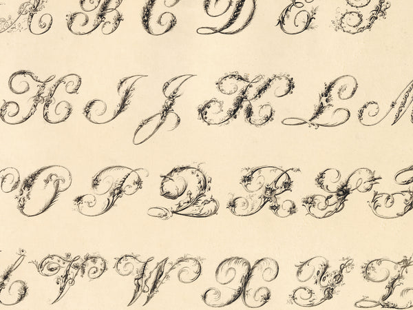 Antique Ornamental Alphabet Print