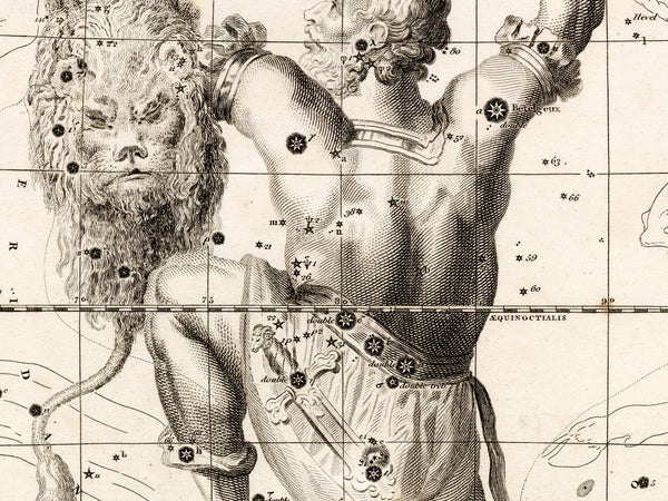 Antique Astronomy Print - Orion Constellation