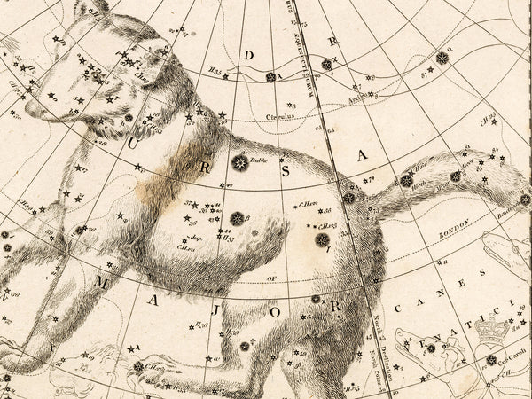 Antique Astronomy Print - Ursa Minor and Major Constellations