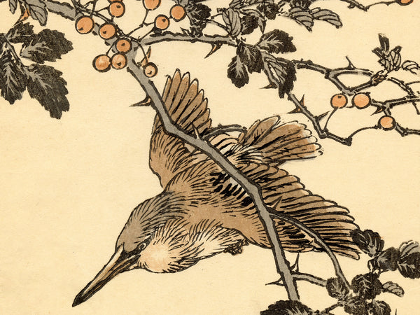 Kono Bairei 1888 Woodblock Print - Bird Taking Off