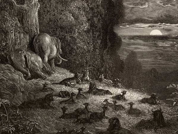 A monochrome engraved scene showing large elephants resting beside a river or lake at sunset, with dogs and deer scattered along the shore and dark cliffs behind them.