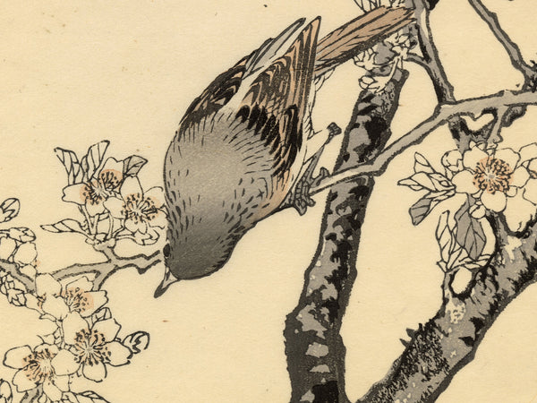 Kono Bairei 1881 Woodblock Print - Rufous-tailed Robin