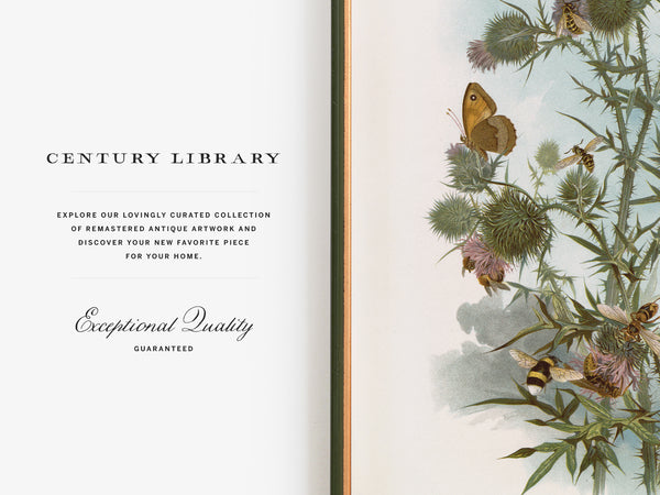 An open book or art print spread showing a cream-colored left page with the text 'CENTURY LIBRARY' and 'Exceptional Quality GUARANTEED,' alongside a detailed botanical and insect illustration on the right page featuring thistles, bees, and butterflies.