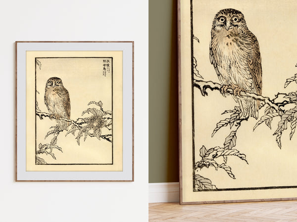 Kono Bairei 1888 Woodblock Print - Owl on Branch