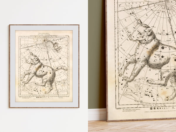 Antique Astronomy Print - Ursa Minor and Major Constellations