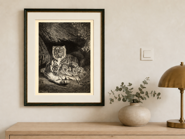 A Family of Tigers - Beautiful 1877 Lithograph Reprint