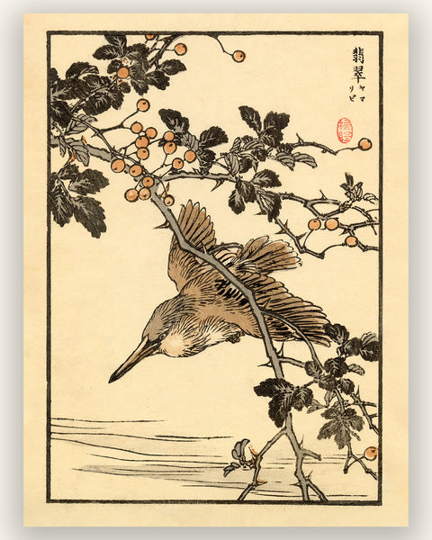 Kono Bairei 1888 Woodblock Print - Bird Taking Off