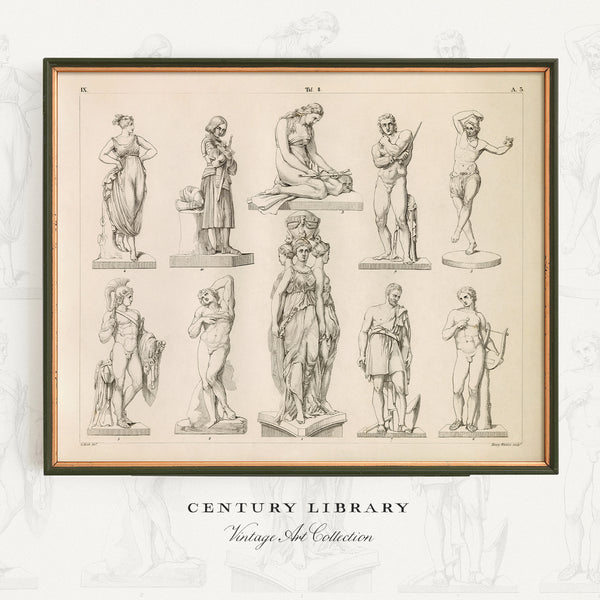 A framed vintage art print featuring black ink sketches of classical Greek and Roman statues on an aged cream paper background. The print is housed in a dark wood frame and is displayed against a light, subtly patterned background with the text 'CENTURY LIBRARY Vintage Art Collection' printed below.