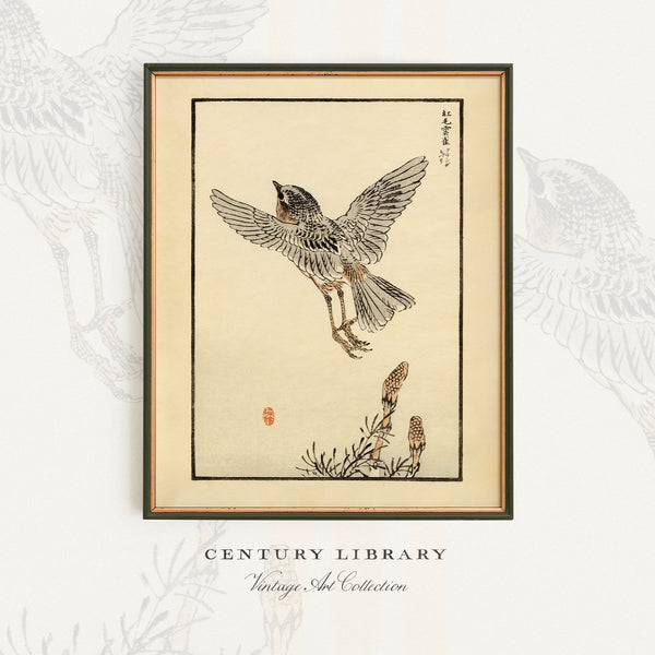 Kono Bairei 1888 Woodblock Print - Bird Taking Flight