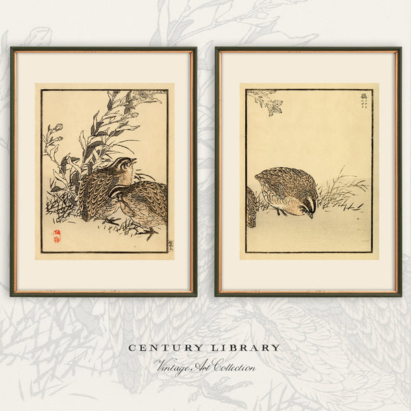 Two framed vintage Japanese-style art prints depicting birds, displayed side-by-side on a light gray patterned background with 'CENTURY LIBRARY Vintage Art Collection' text below.