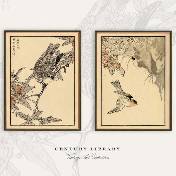 Kōno Bairei Canary Prints – Set of 2 | 1881 Japanese Woodblock Bird Art E19
