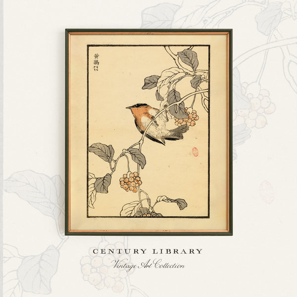 A framed art print featuring a Japanese-style bird perched on a branch with leaves and berries, shown hanging on a white wall alongside a larger view of the same print.
