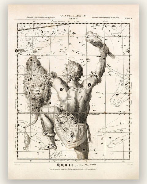 Antique Astronomy Print - Orion Constellation