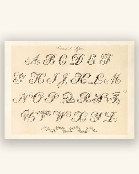 Antique Ornamental Alphabet Print