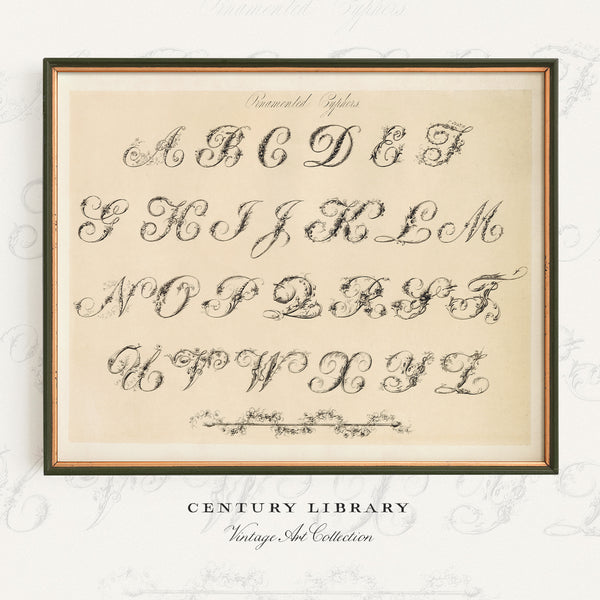 Antique Ornamental Alphabet Print