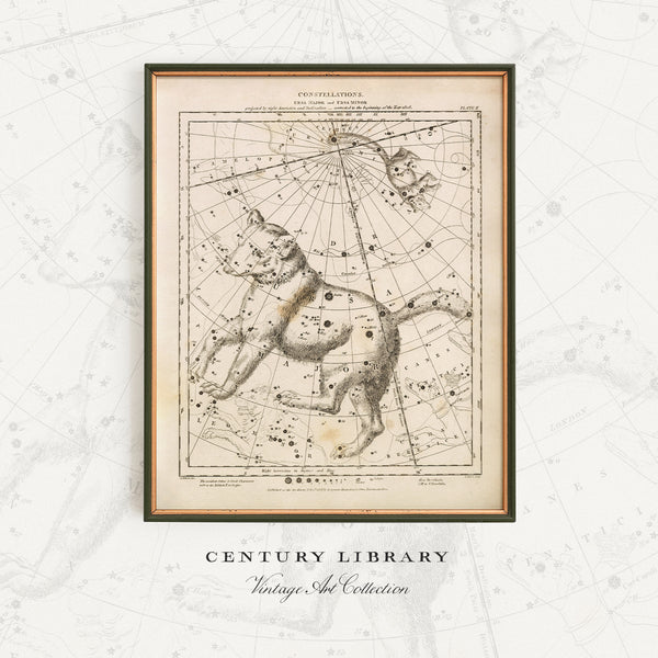 Antique Astronomy Print - Ursa Minor and Major Constellations