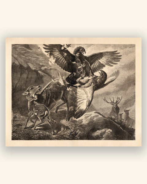 A Duel in the Mountains - 1800s Wood Engraving Restoration