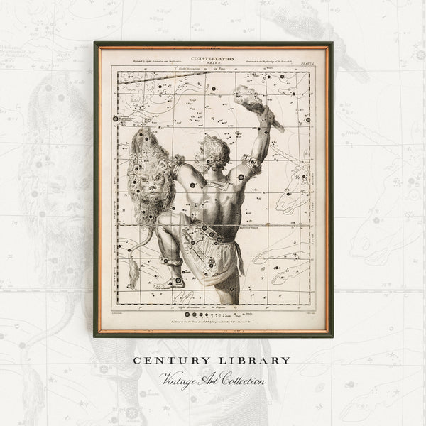 Antique Astronomy Print - Orion Constellation