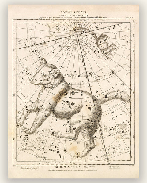 Antique Astronomy Print - Ursa Minor and Major Constellations