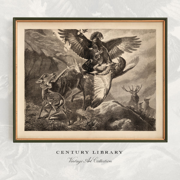 A framed vintage black-and-white art print depicting a dramatic hunting scene with a bird of prey carrying a rabbit while another bird flies nearby, surrounded by deer in a rocky landscape. The print is presented in a dark green frame with a beige mat, set against a light textured background with the text 'CENTURY LIBRARY Vintage Art Collection' below.