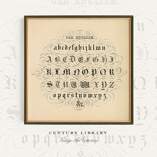 Decorative Old English Typography Print