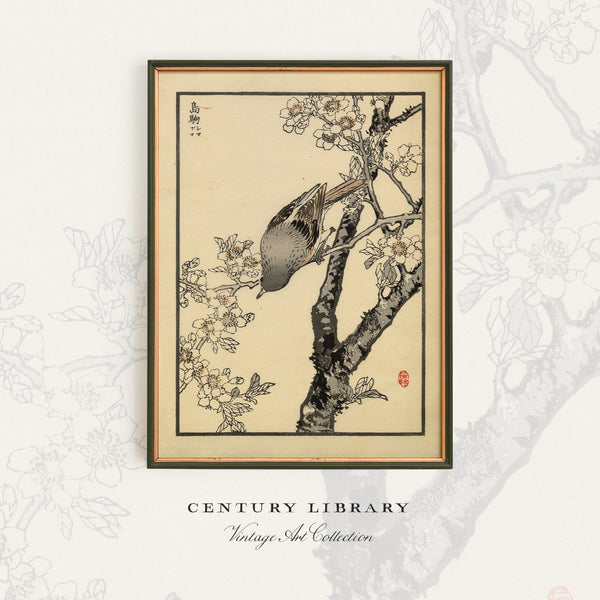 Kono Bairei 1881 Woodblock Print - Rufous-tailed Robin