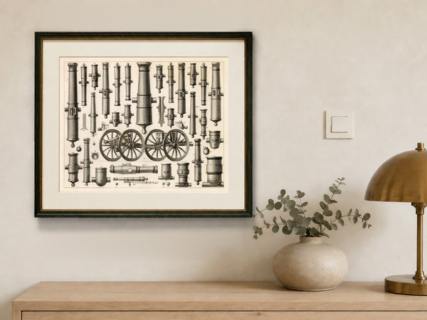 Antique Military Sciences Print - Variety of Artillery / Cannons
