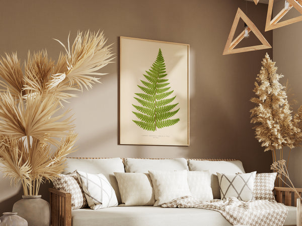 Antique Fern Botanical Print - Vintage pinna of the tree fern ( Dicksonia rubiginosa )