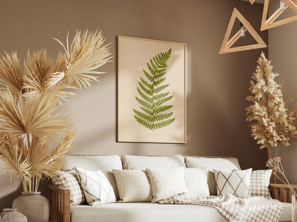 Antique Fern Botanical Print - Vintage soft shield fern (Aspidium angulare var. aristatum)