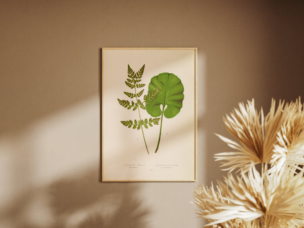 A framed botanical art print featuring green leaves on an aged cream background, hanging on a warm brown wall with soft shadows and dried palm leaves in the foreground.