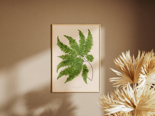 A framed botanical art print of a green fern on a cream background, hanging on a warm beige wall next to dried palm leaves.