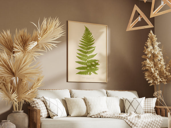 Antique Fern Botanical Print - Vintage Tree Fern Wall Art, ( Dicksonia Davallioides )