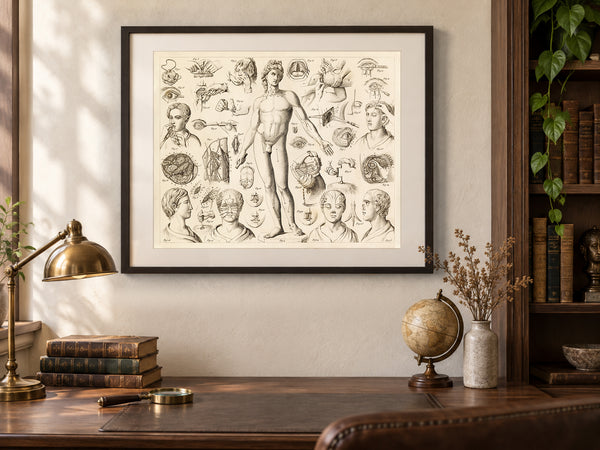 Antique Surgery Print - Various Surgical Operations
