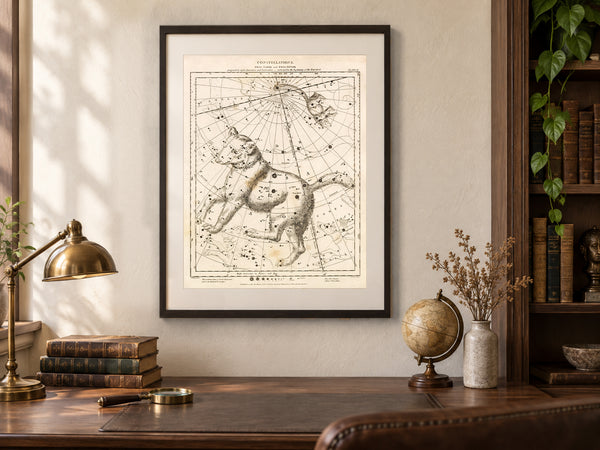 Antique Astronomy Print - Ursa Minor and Major Constellations