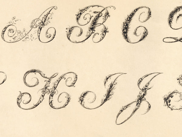 Decorative alphabet letters in an ornate black cursive script with floral flourishes, arranged in rows on a warm beige background.