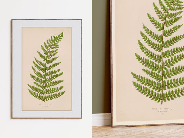 Framed botanical art print featuring a green fern leaf on a warm beige background, shown both as a standalone framed piece on a white wall and leaning against a wall in a styled interior setting.