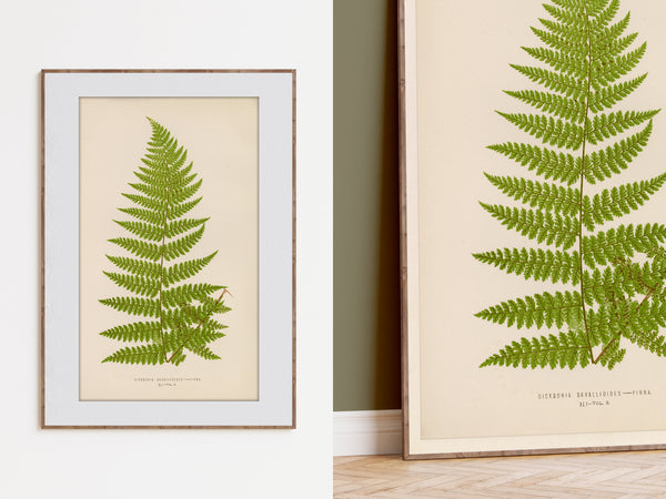 Framed botanical art print featuring a green fern leaf on a warm cream background, shown hanging on a white wall and also in a close-up view leaning against a wall on a wood floor.