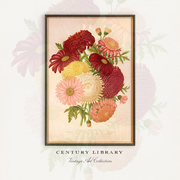 A framed vintage-style botanical art print featuring a bouquet of red, pink, yellow, and cream flowers on a pale background, with the text 'CENTURY LIBRARY' and 'Vintage Art Collection' below the frame.