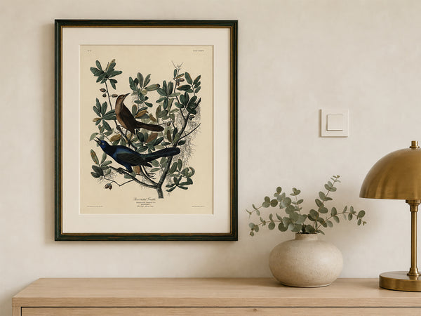 A framed vintage-style bird illustration print hangs on a beige wall above a wooden console table, with a ceramic vase of eucalyptus and a brass table lamp beside it.