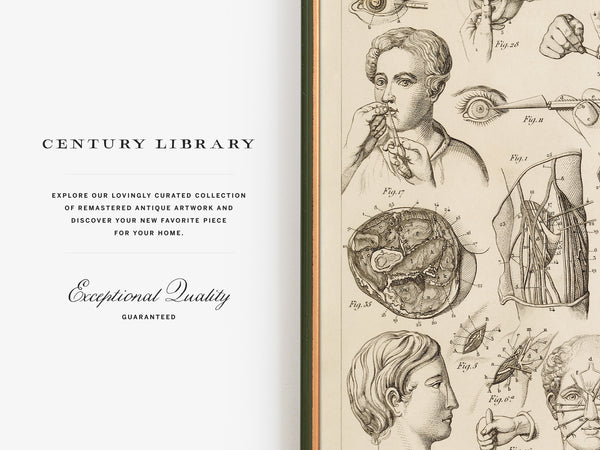 An open book or magazine spread showing a cream-colored left page with the text 'CENTURY LIBRARY' and 'Exceptional Quality GUARANTEED,' alongside a sepia-toned right page filled with vintage anatomical and scientific illustrations.