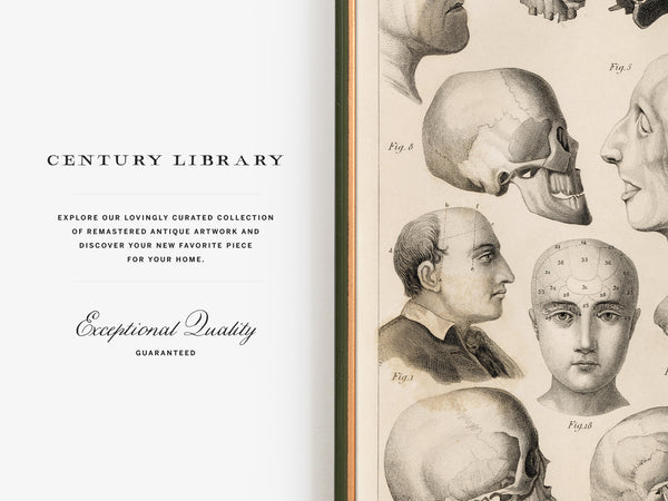 A book or magazine spread showing a cream-colored left page with the text 'CENTURY LIBRARY' and 'Exceptional Quality Guaranteed,' alongside a right page filled with vintage-style anatomical illustrations of skulls, faces, and heads in sepia tones.
