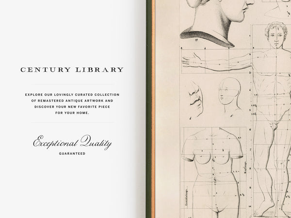 Open book spread showing a cream-colored left page with the text 'CENTURY LIBRARY' and descriptive copy, alongside a right page with black ink anatomical sketches and measurement guides.