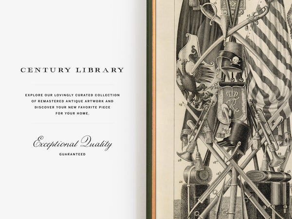 Vintage Military Sciences Print - Various 'Modern' Arms