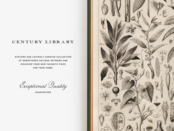 A book or art print cover design with a white left panel reading 'CENTURY LIBRARY' and 'Exceptional Quality Guaranteed,' and a right panel filled with vintage botanical illustrations in black on warm cream.