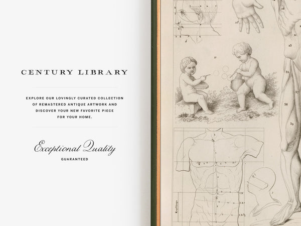 Theory of the Art of Drawing Human Anatomy - Vintage Restored Print